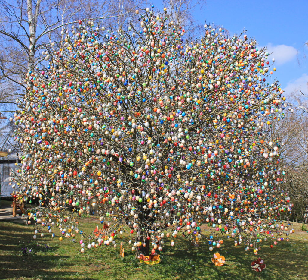 Arbre de Pâques de  Saalfeld, décoré avec 10 000 oeufs colorés 