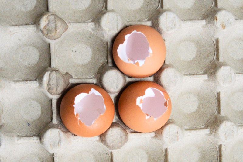 Coquilles d'œufs percées et vidées dans une plaque grise